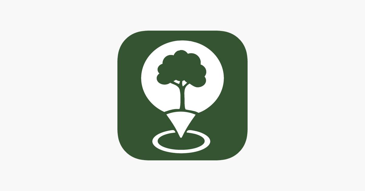 E-Grume