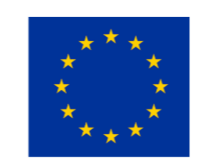 Union Européenne