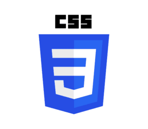 CSS logo